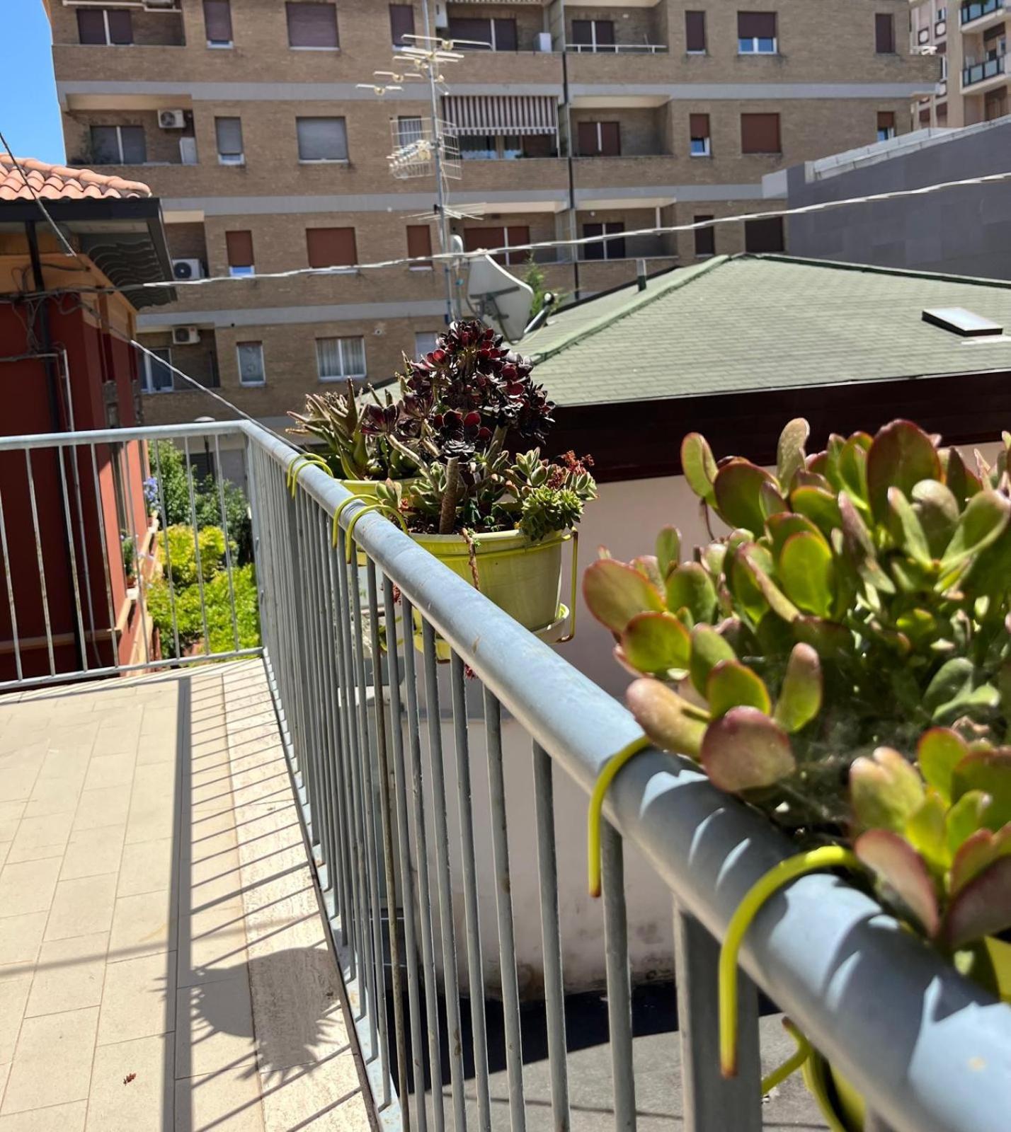 Bed And Breakfast Sofia Pescara Luaran gambar